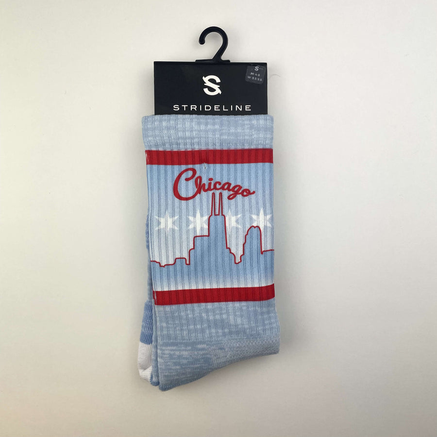 Chicago Willis Tower Socks